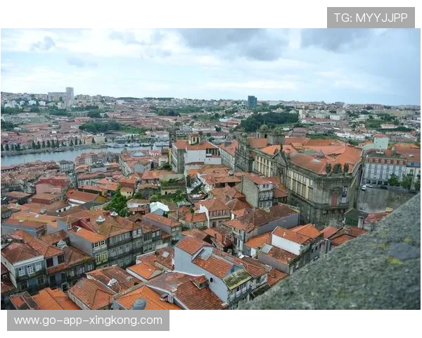 波尔图锁定南美后防之王，打造稳固铁壁引领欧洲豪门新纪元